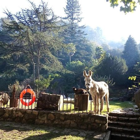فندق Quinta Do Castanheiro سينترا المظهر الخارجي الصورة
