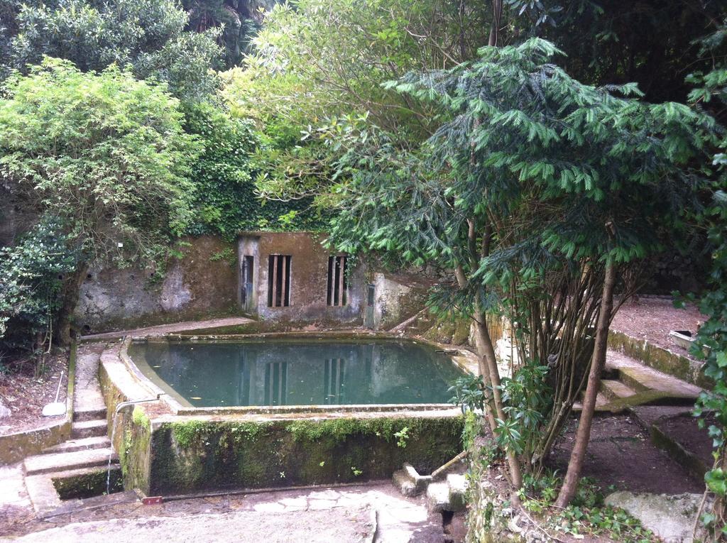 فندق Quinta Do Castanheiro سينترا المظهر الخارجي الصورة