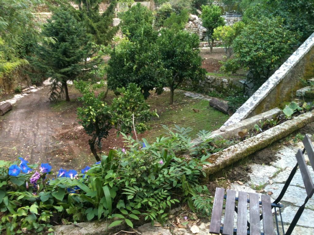 فندق Quinta Do Castanheiro سينترا المظهر الخارجي الصورة
