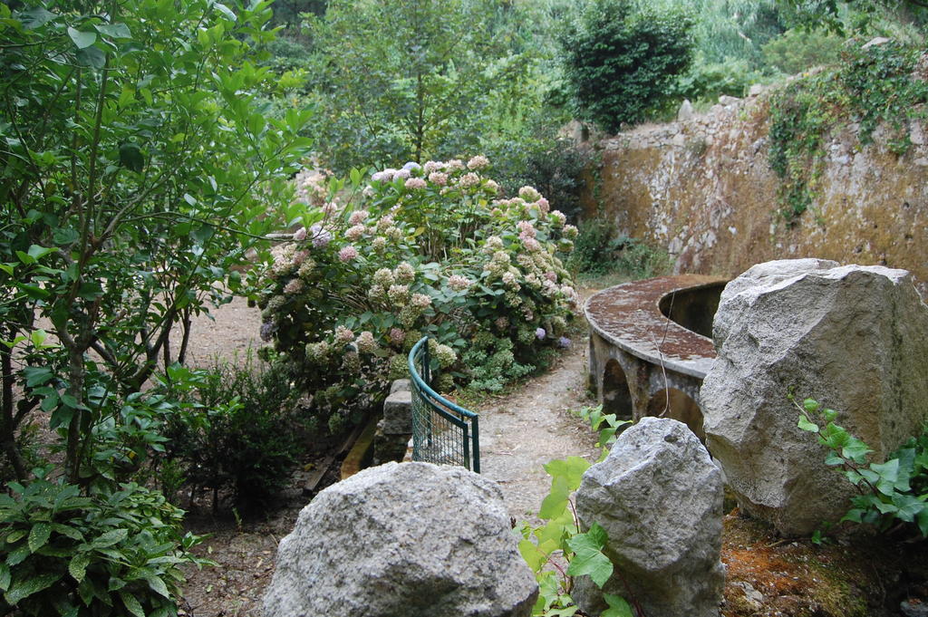 فندق Quinta Do Castanheiro سينترا المظهر الخارجي الصورة