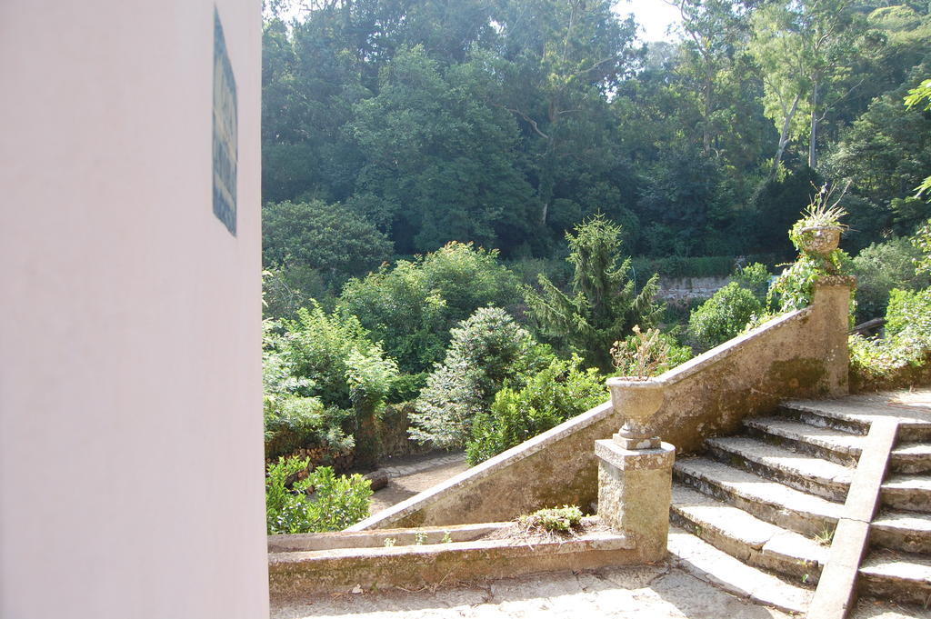 فندق Quinta Do Castanheiro سينترا المظهر الخارجي الصورة